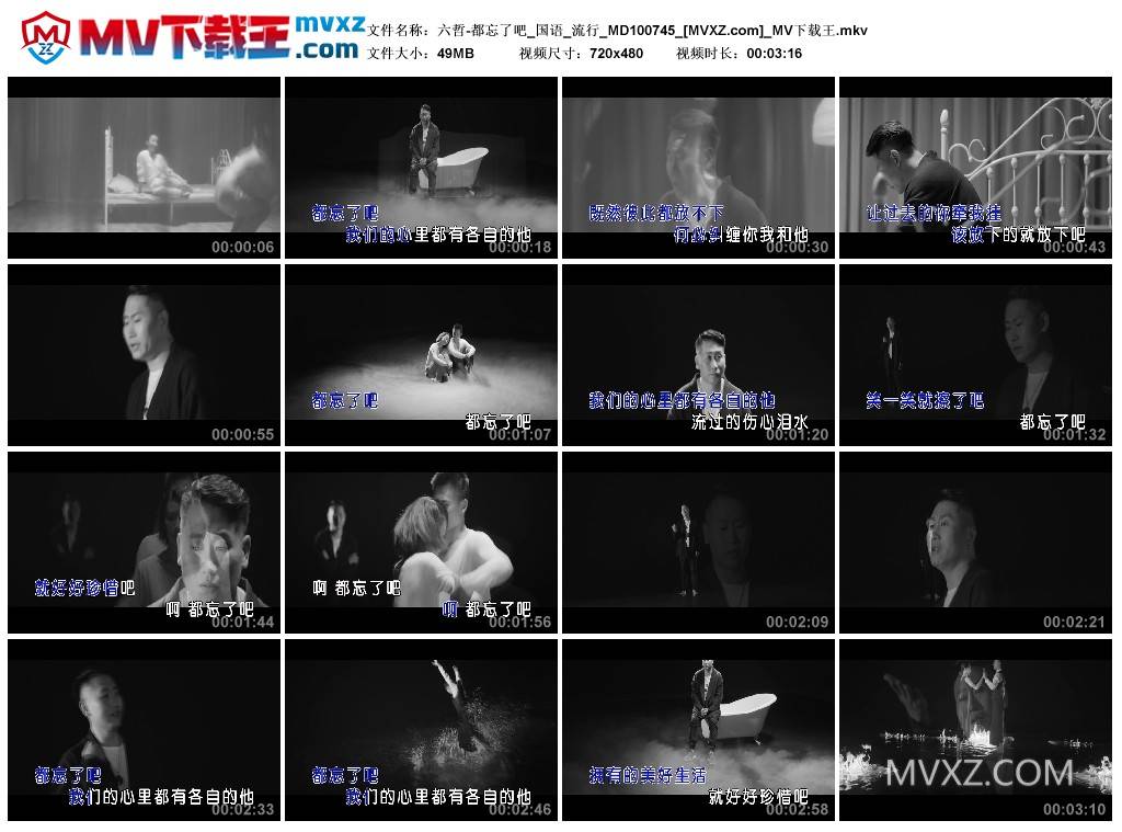 六哲-都忘了吧_国语_流行_MD100745